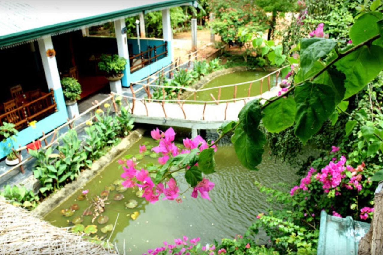 Hungry Lion Sigiriya Hotel Exterior photo