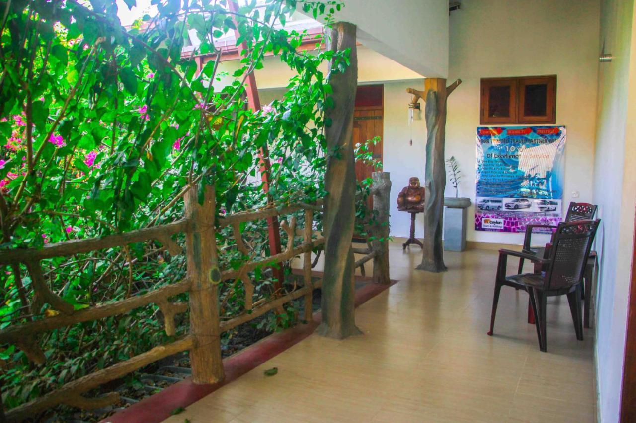 Hungry Lion Sigiriya Hotel Exterior photo