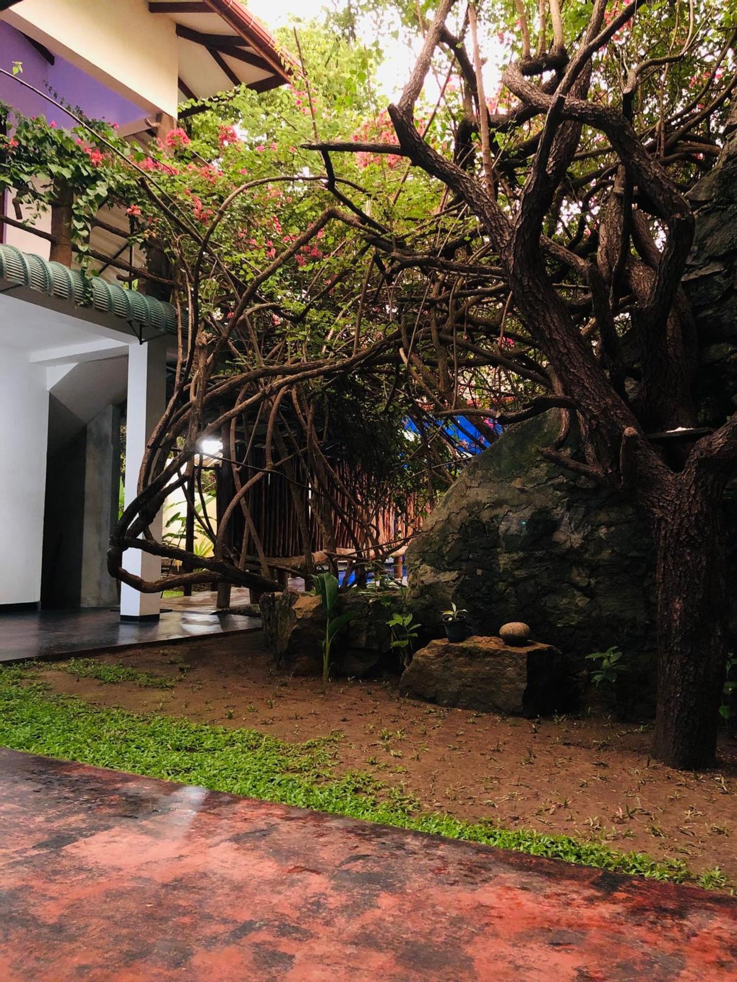 Hungry Lion Sigiriya Hotel Exterior photo